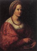 Andrea del Sarto Portrait of a Woman with a Basket of Spindles oil painting on canvas